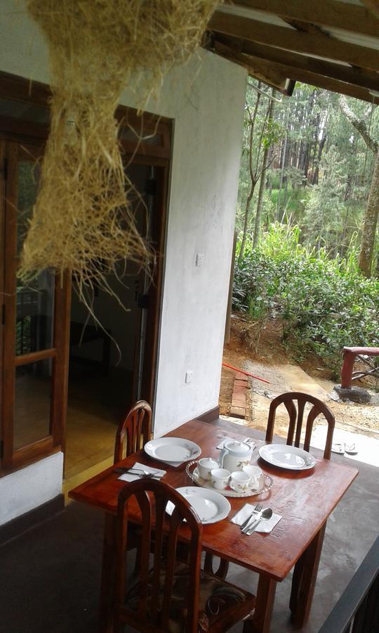 Mountain Nest Ella Exterior foto